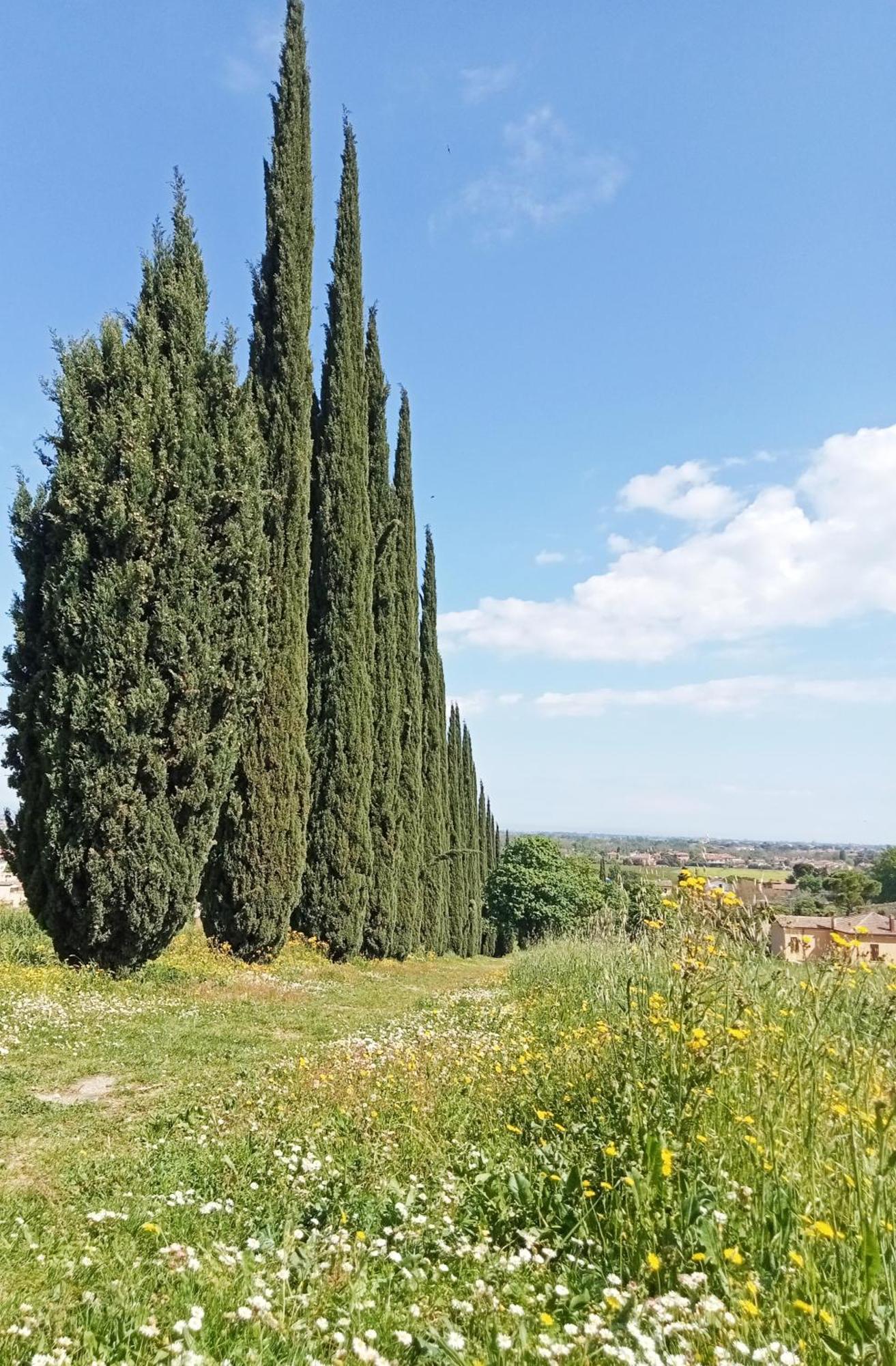 Casalice Apartment Santarcangelo di Romagna Luaran gambar